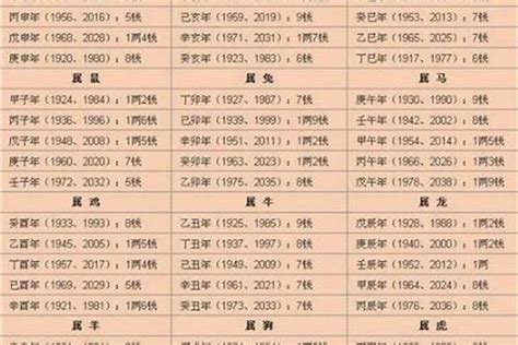 八字重量表2023|八字重量計算